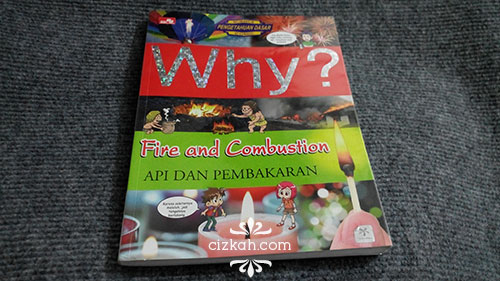 why--fire-and-combustion